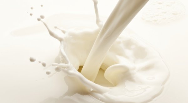 VTKBiH – Vanjskotrgovinska razmjena BiH za sektor mlijeka i peradarstva